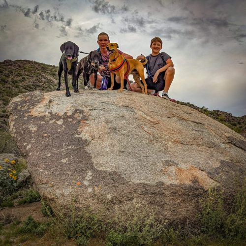 The family and their dogs on a huge boulder in the desert