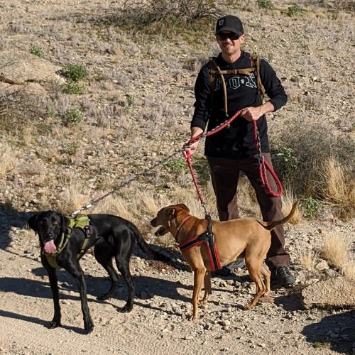 A hiker walking Ari and a black dog on a desert trail