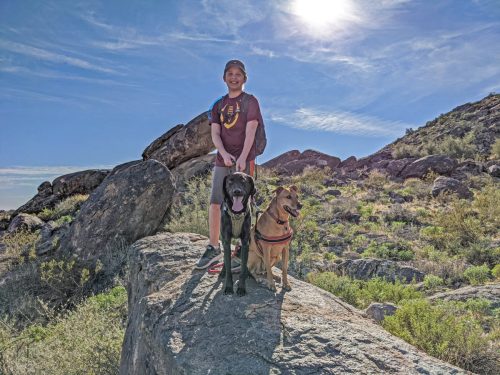 A hiker with two dogs on a big rock under a bright desert sky