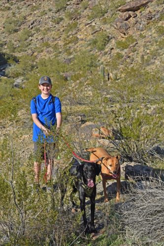 A hiker with Ari and a black dog in tall desert brush